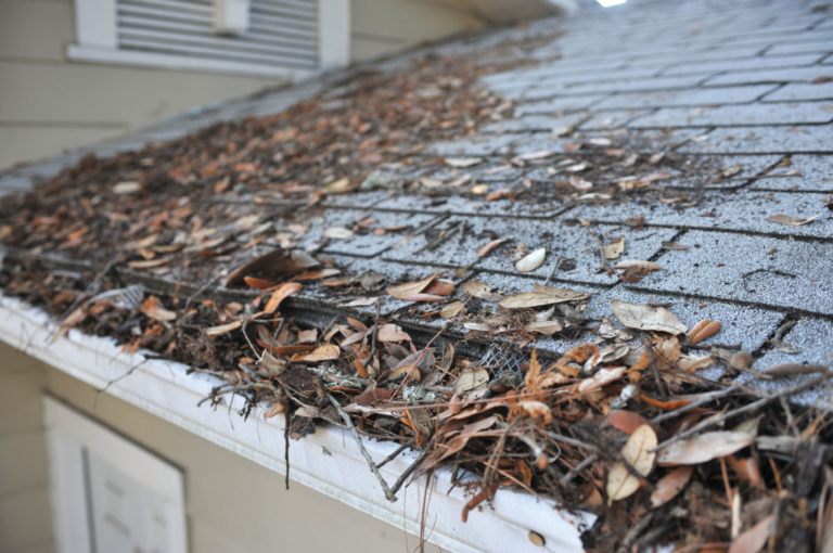 <strong>The Dangers of Leaving Debris in Your Gutters</strong>